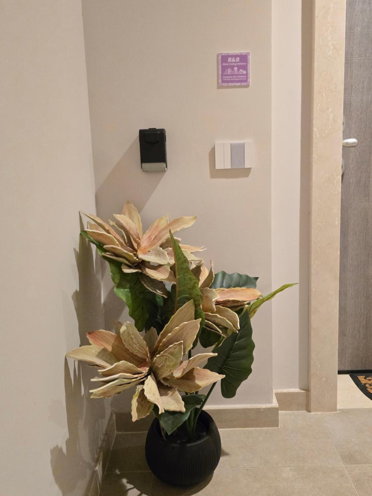 New Living Milano Bed & Breakfast กอร์กอนโซลา ภายนอก รูปภาพ